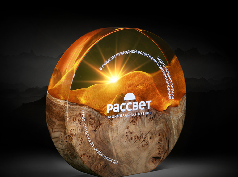 III Национальная премия «Рассвет»