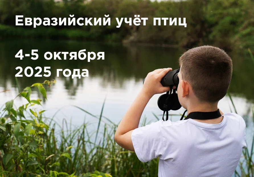Внимание, конкурс! Турнир юных орнитологов!